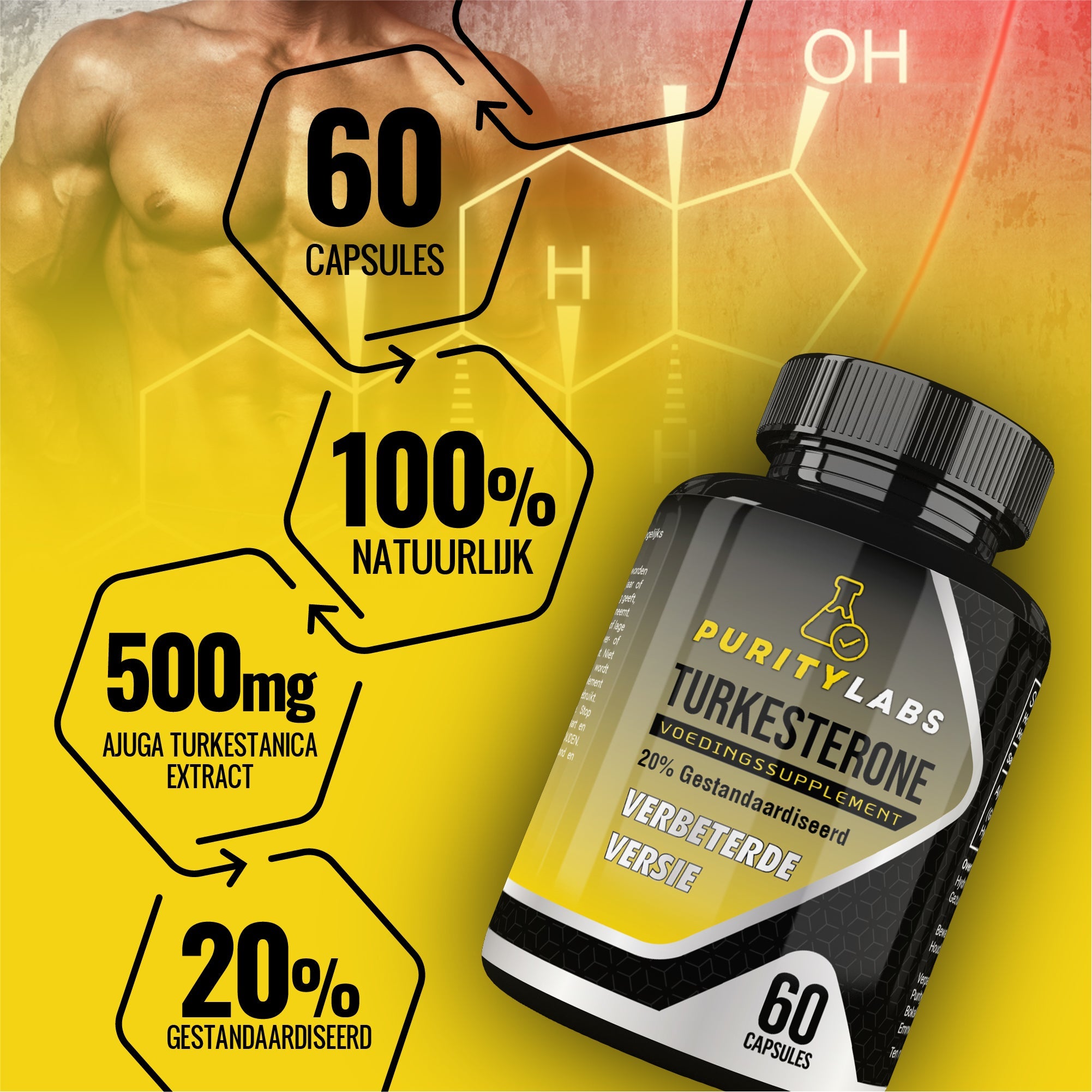 Kraft & Vitalität Bundle